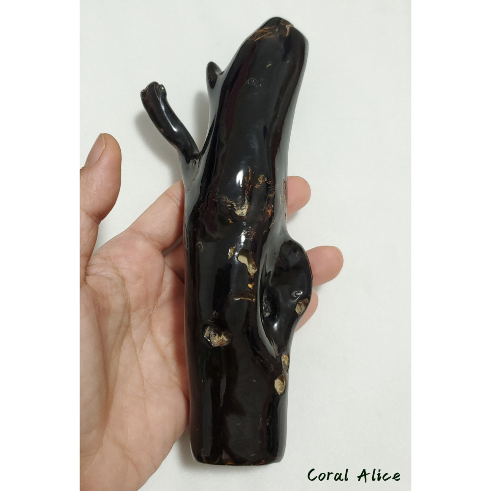 🌟Coral珊寶手作-天然黑珊瑚/黑海柳自然枝 18.2cm BC2P1-542-細節圖9