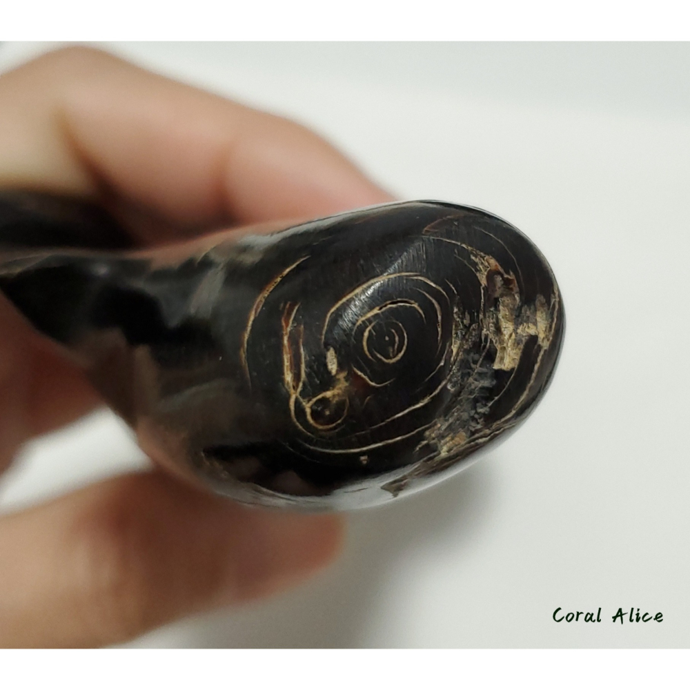 🌟Coral珊寶手作-天然黑珊瑚/黑海柳自然枝 18.2cm BC2P1-542-細節圖10