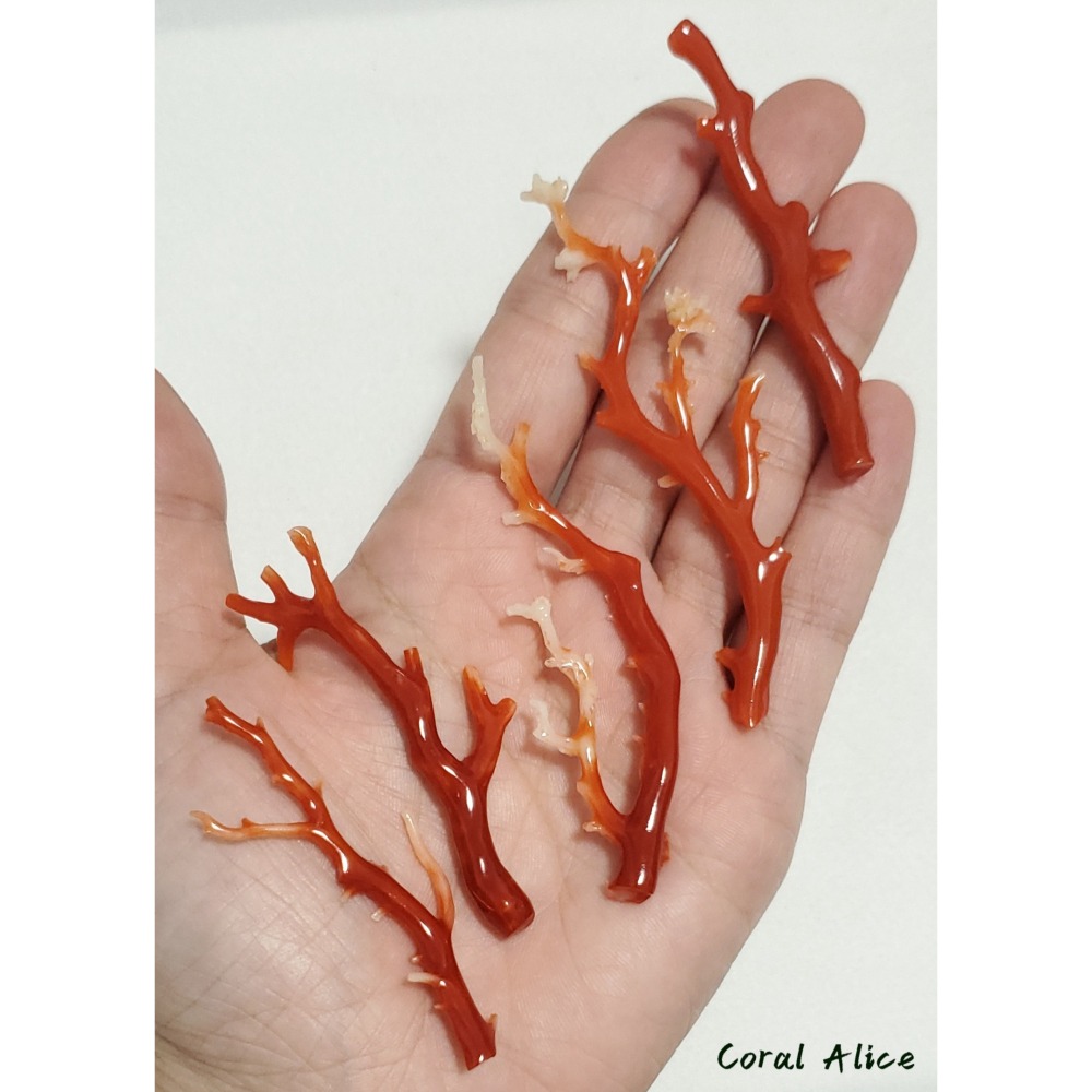 🌟Coral珊寶手作-天然阿卡珊瑚/紅珊瑚/赤血珊瑚自然枝 CO2P15115-細節圖6