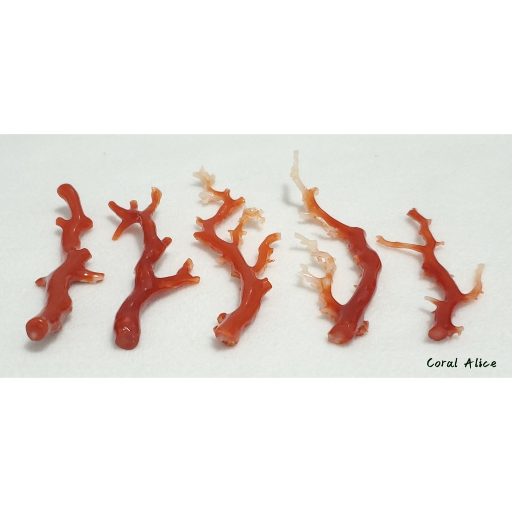 🌟Coral珊寶手作-天然阿卡珊瑚/紅珊瑚/赤血珊瑚自然枝 CO2P15115-細節圖8