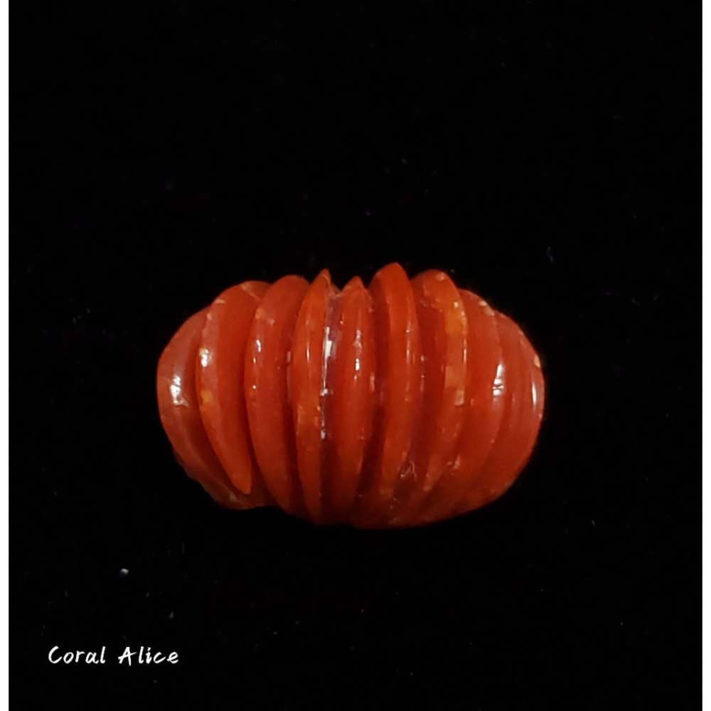 🌟Coral珊寶手作-天然阿卡珊瑚扇型造型裸石 14.5*9.8*6.4mm CO2P15142-細節圖2