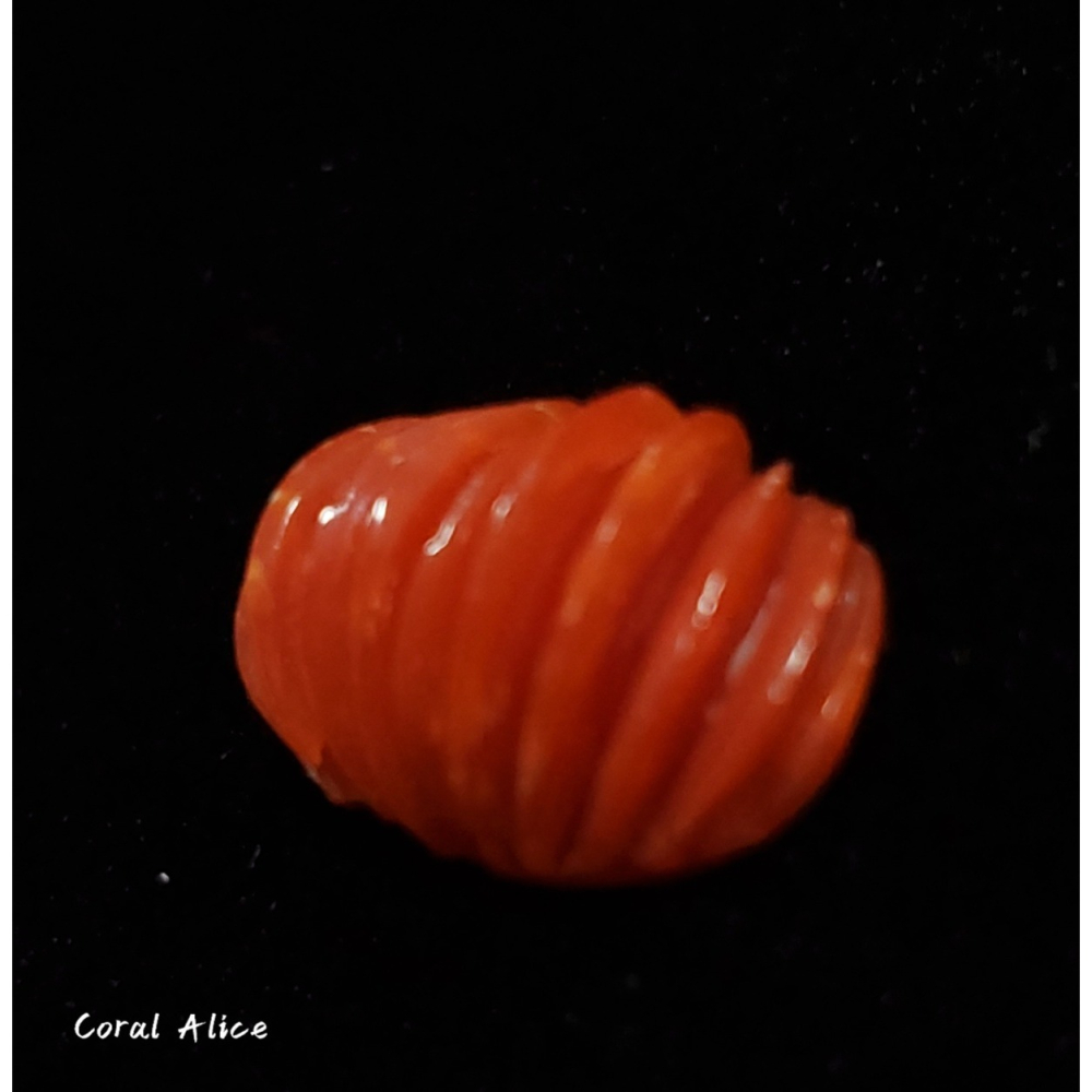 🌟Coral珊寶手作-天然阿卡珊瑚扇型造型裸石 14.5*9.8*6.4mm CO2P15142-細節圖3