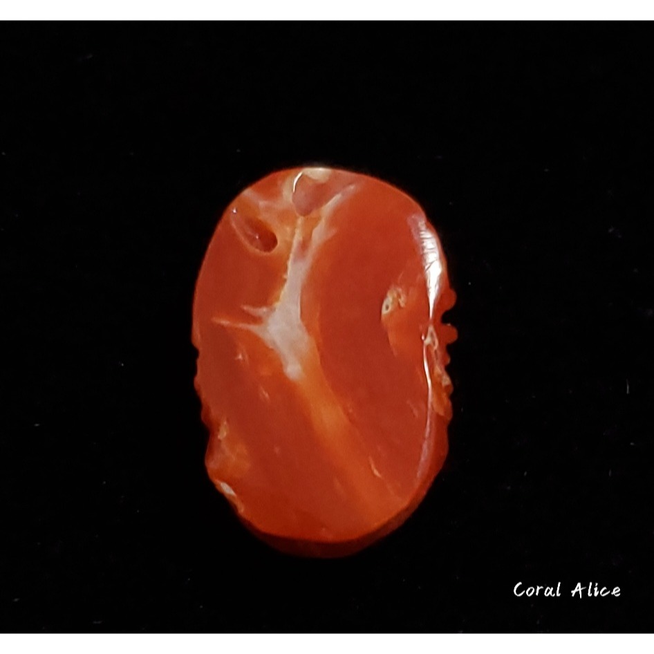 🌟Coral珊寶手作-天然阿卡珊瑚扇型造型裸石 14.5*9.8*6.4mm CO2P15142-細節圖5