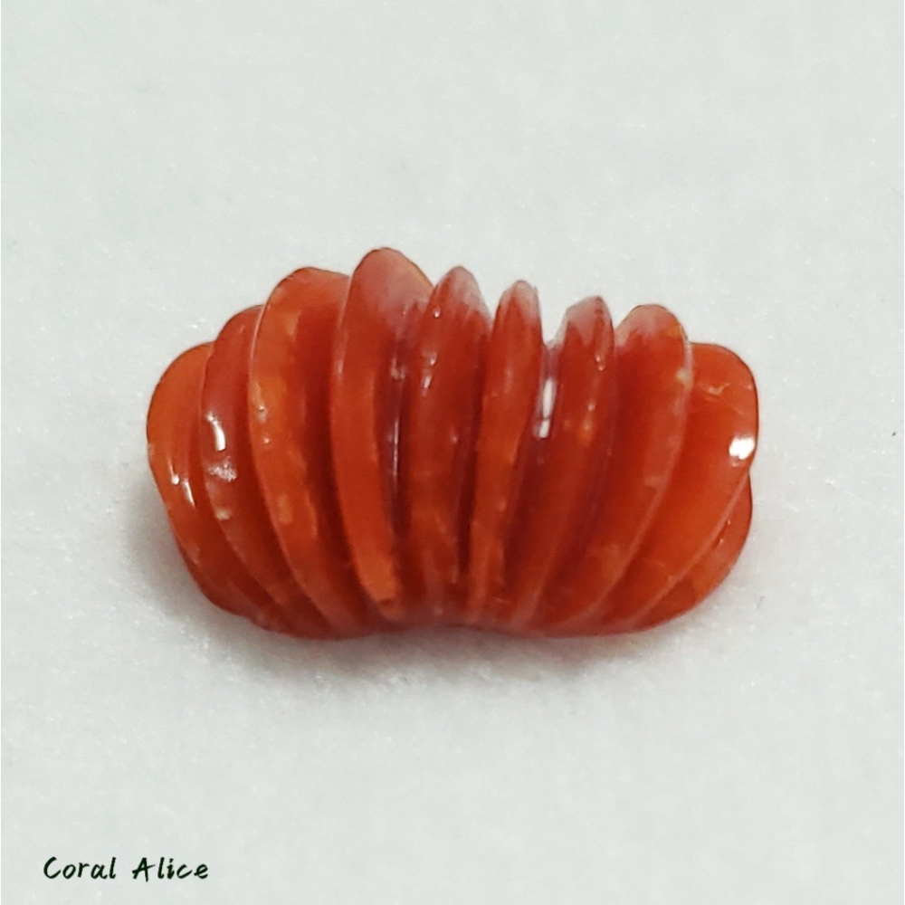🌟Coral珊寶手作-天然阿卡珊瑚扇型造型裸石 14.5*9.8*6.4mm CO2P15142-細節圖8