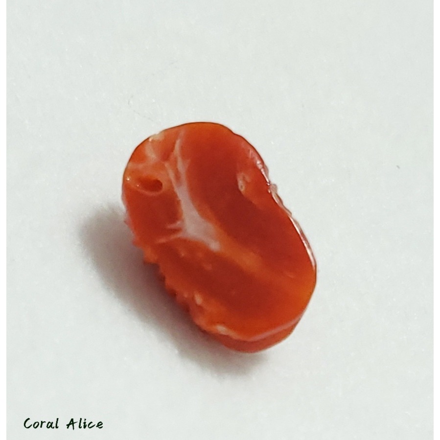🌟Coral珊寶手作-天然阿卡珊瑚扇型造型裸石 14.5*9.8*6.4mm CO2P15142-細節圖10
