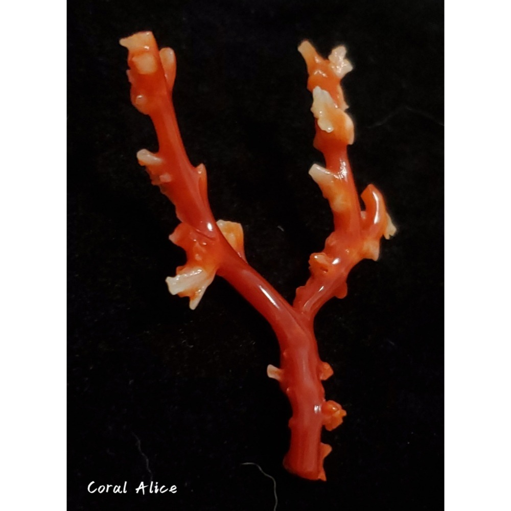 🌟Coral珊寶手作-天然阿卡珊瑚/紅珊瑚/赤血珊瑚自然枝 51.8*41.8mm CO2P15113-細節圖3