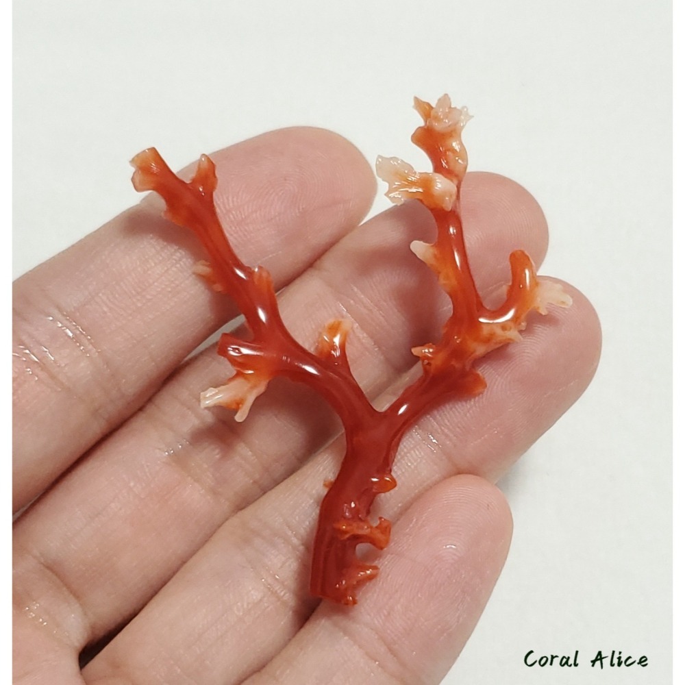 🌟Coral珊寶手作-天然阿卡珊瑚/紅珊瑚/赤血珊瑚自然枝 51.8*41.8mm CO2P15113-細節圖7