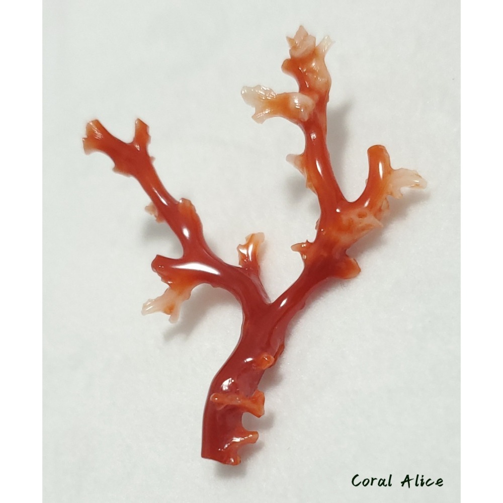 🌟Coral珊寶手作-天然阿卡珊瑚/紅珊瑚/赤血珊瑚自然枝 51.8*41.8mm CO2P15113-細節圖8