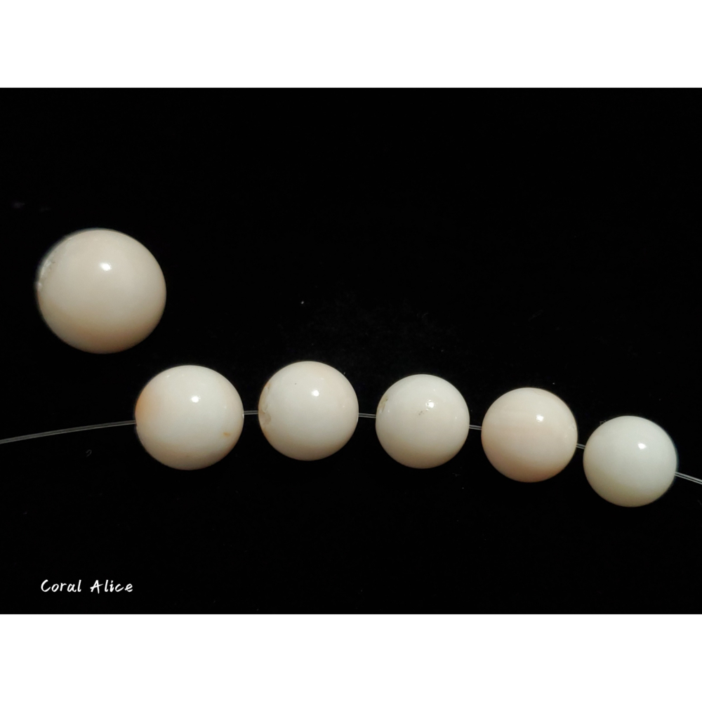 🌟Coral珊寶手作-天然白珊瑚圓珠 12.5-18.6mm CO2P1-336-細節圖6