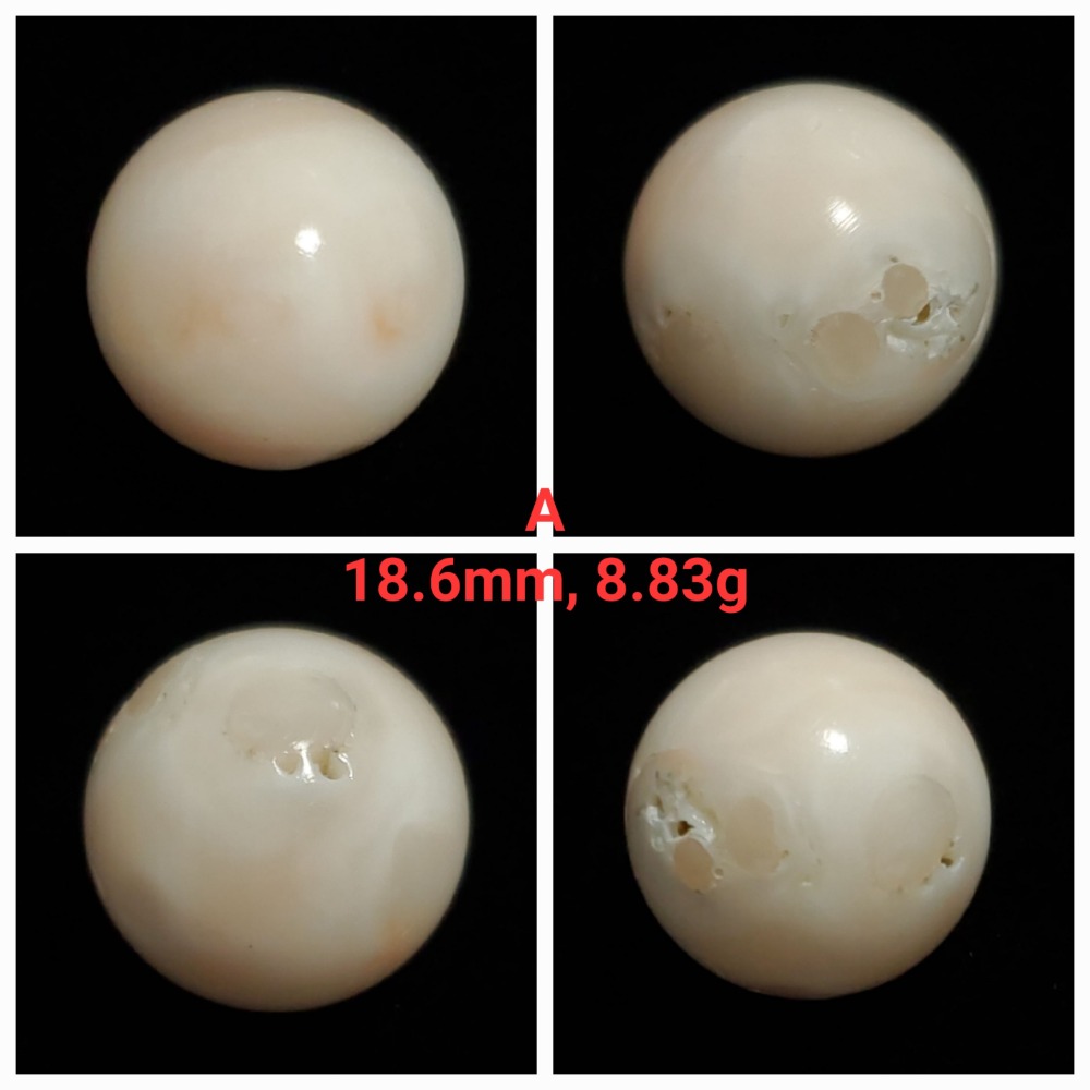 🌟Coral珊寶手作-天然白珊瑚圓珠 12.5-18.6mm CO2P1-336-規格圖11