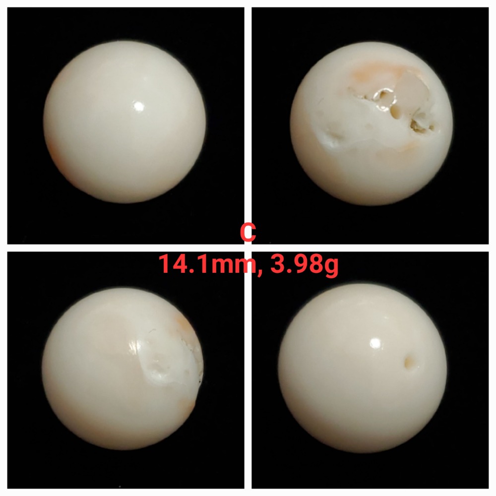 🌟Coral珊寶手作-天然白珊瑚圓珠 12.5-18.6mm CO2P1-336-規格圖11