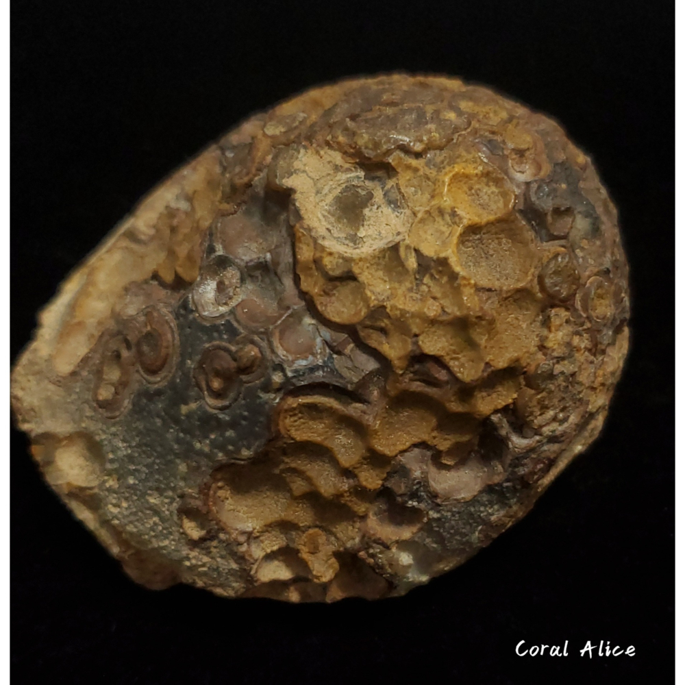 🌟Coral珊寶手作-天然戈壁石原礦/眼睛石 62.3*63.5*46.5mm AG1P1-504-細節圖3