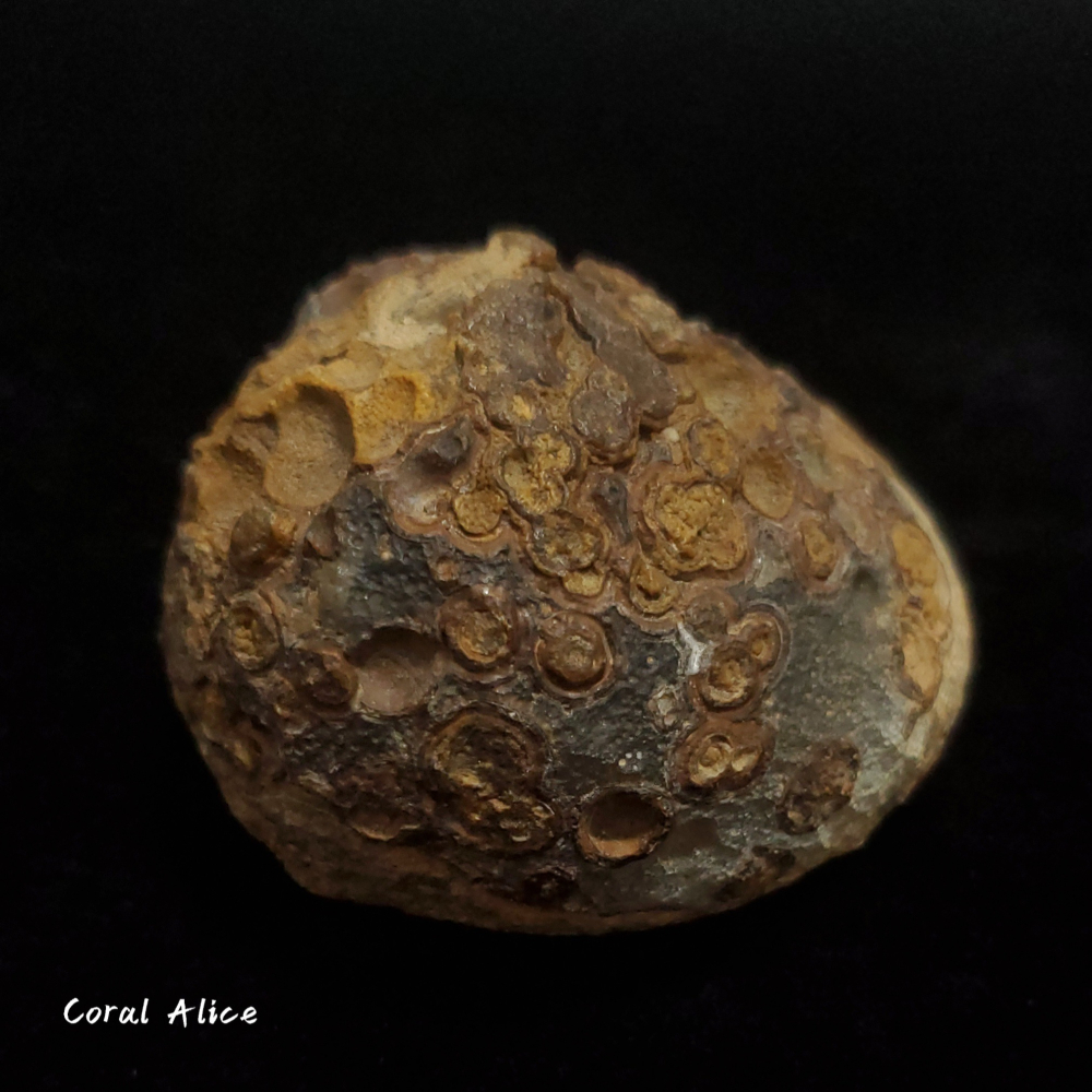 🌟Coral珊寶手作-天然戈壁石原礦/眼睛石 62.3*63.5*46.5mm AG1P1-504-細節圖4