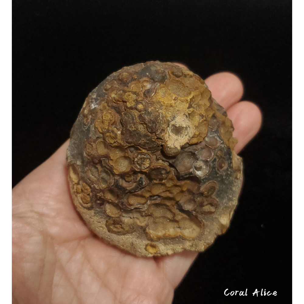 🌟Coral珊寶手作-天然戈壁石原礦/眼睛石 62.3*63.5*46.5mm AG1P1-504-細節圖6