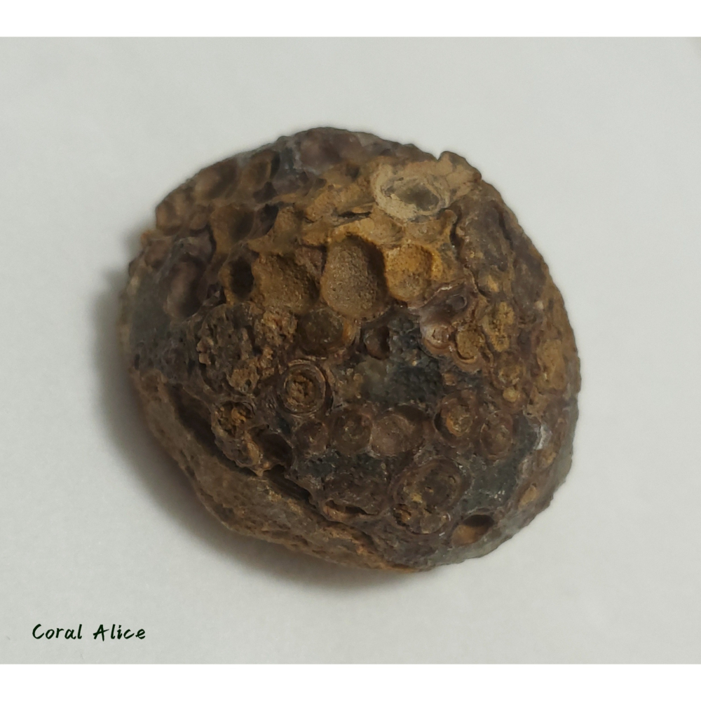 🌟Coral珊寶手作-天然戈壁石原礦/眼睛石 62.3*63.5*46.5mm AG1P1-504-細節圖9