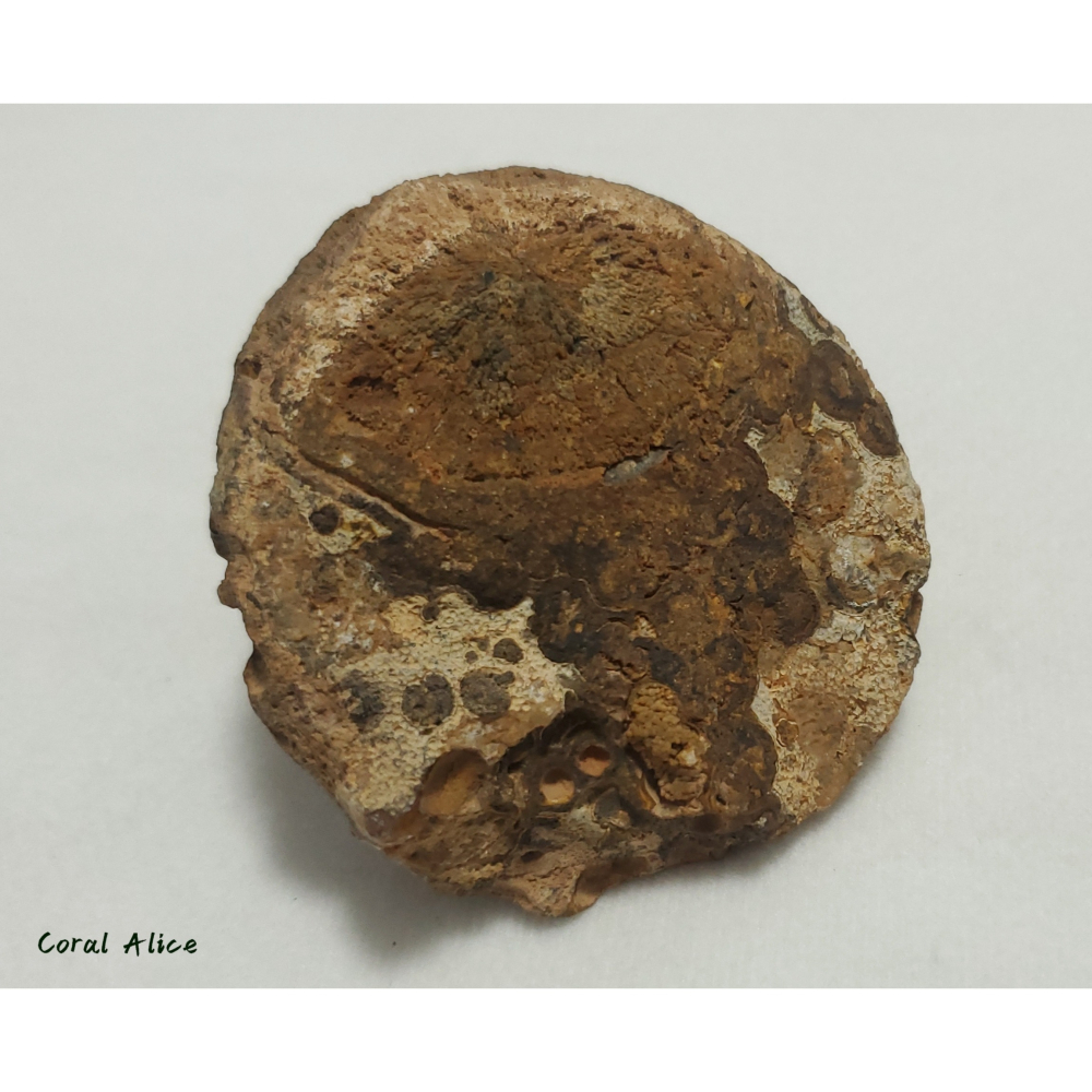 🌟Coral珊寶手作-天然戈壁石原礦/眼睛石 62.3*63.5*46.5mm AG1P1-504-細節圖11