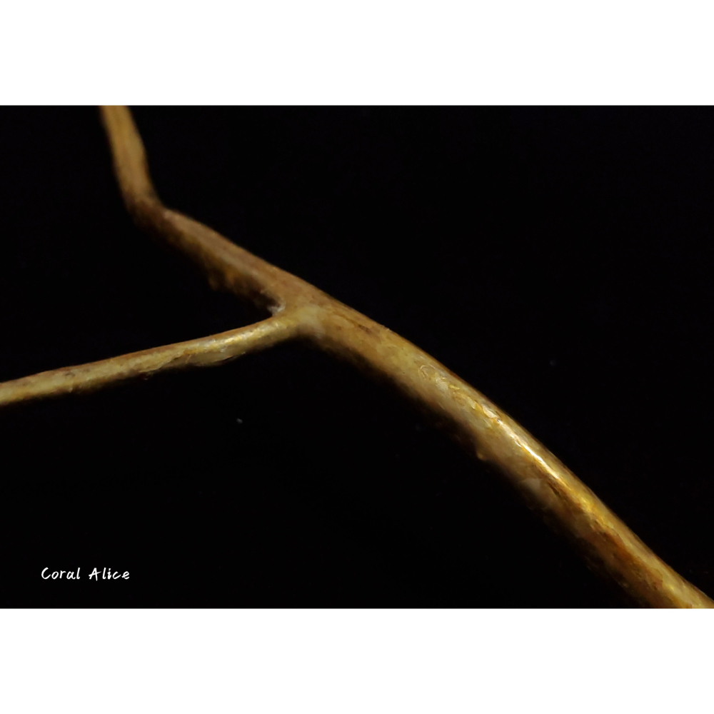 🌟Coral珊寶手作-天然柳珊瑚/藤柳/海藤自然枝 26.5cm CO2P1-048-細節圖3