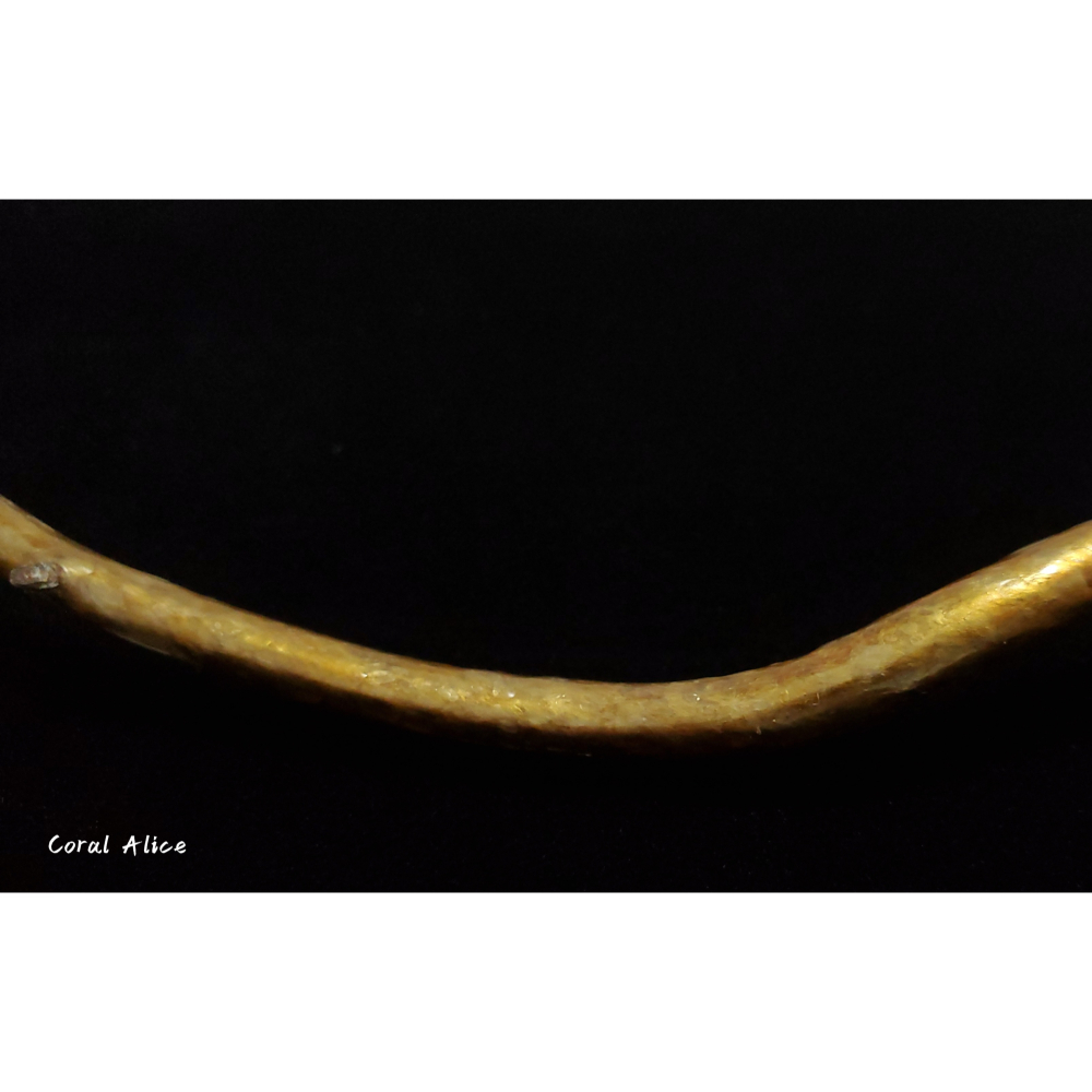 🌟Coral珊寶手作-天然柳珊瑚/藤柳/海藤自然枝 26.5cm CO2P1-048-細節圖4