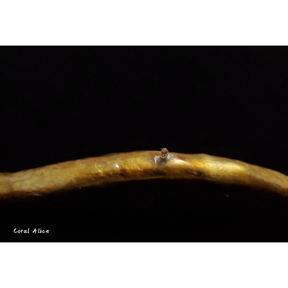 🌟Coral珊寶手作-天然柳珊瑚/藤柳/海藤自然枝 26.5cm CO2P1-048-細節圖5