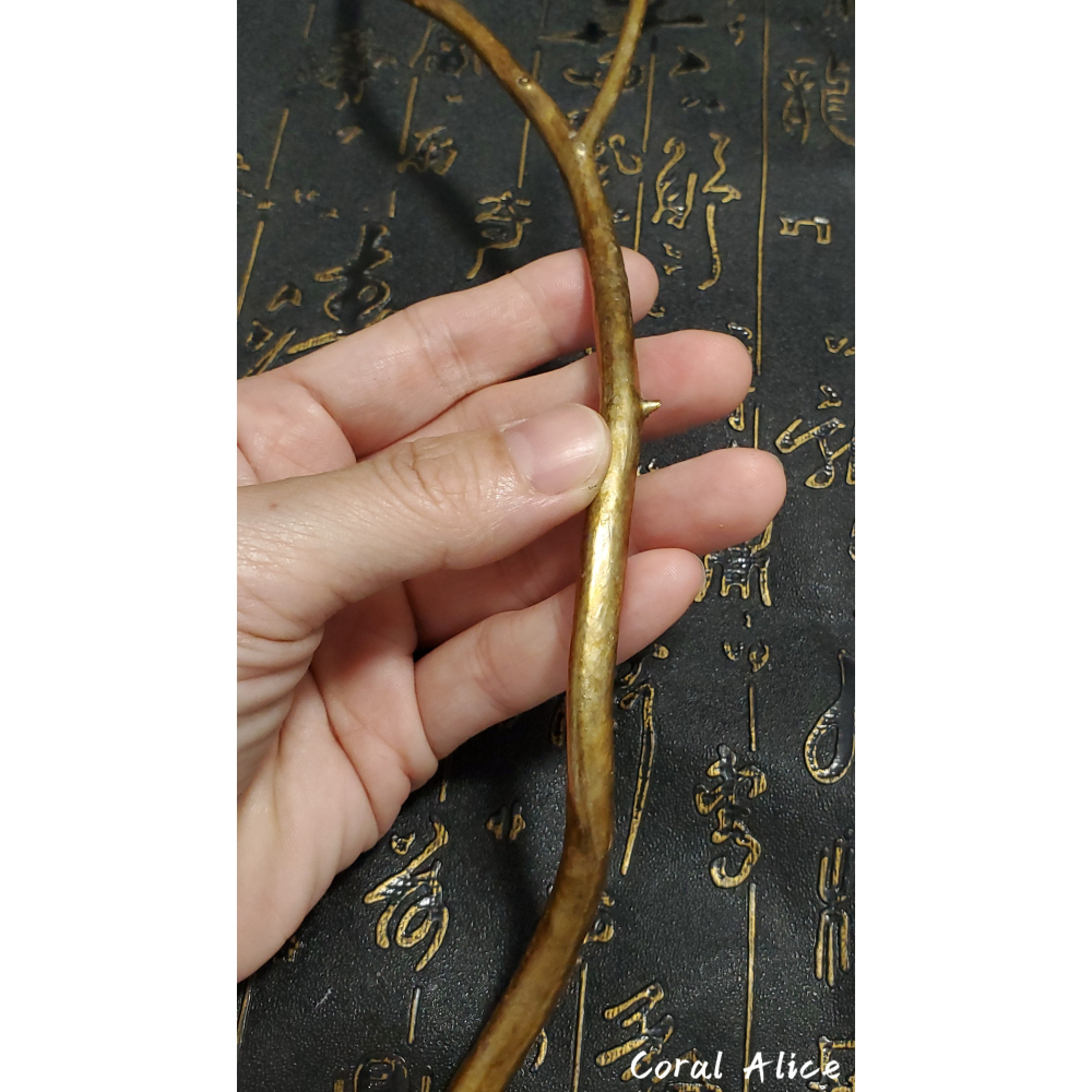 🌟Coral珊寶手作-天然柳珊瑚/藤柳/海藤自然枝 26.5cm CO2P1-048-細節圖6