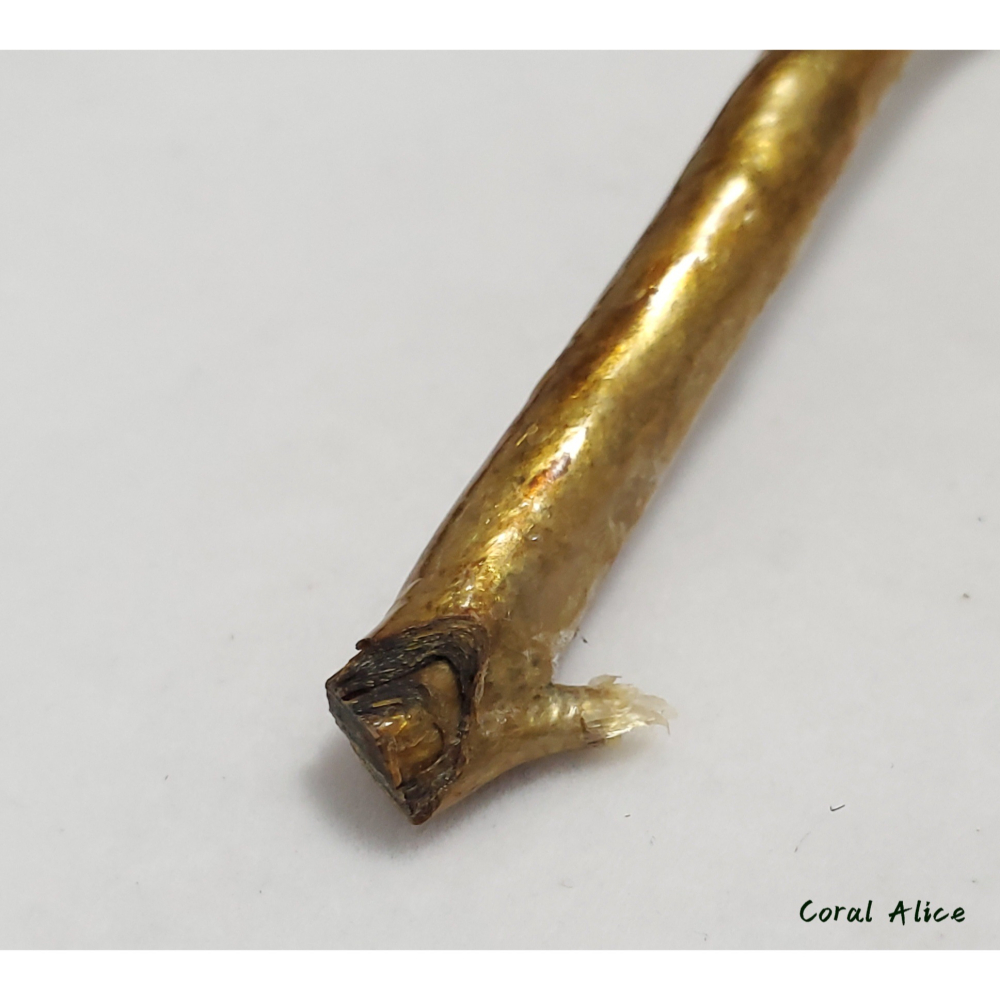 🌟Coral珊寶手作-天然柳珊瑚/藤柳/海藤自然枝 26.5cm CO2P1-048-細節圖8