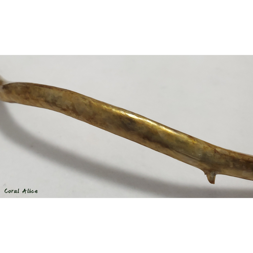 🌟Coral珊寶手作-天然柳珊瑚/藤柳/海藤自然枝 26.5cm CO2P1-048-細節圖10