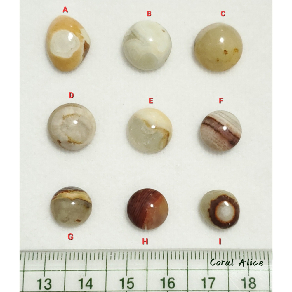 🌟Coral珊寶手作-天然澎湖文石造型裸石 JD2P1-822-細節圖11