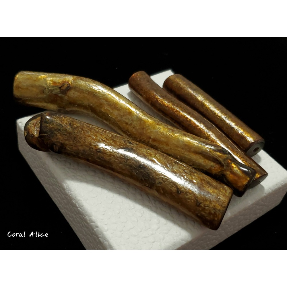 🌟Coral珊寶手作-海柳/海藤枝段 BC2P1-517-細節圖2