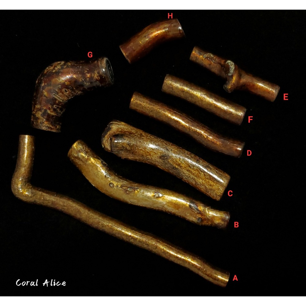 🌟Coral珊寶手作-海柳/海藤枝段 BC2P1-517-細節圖3