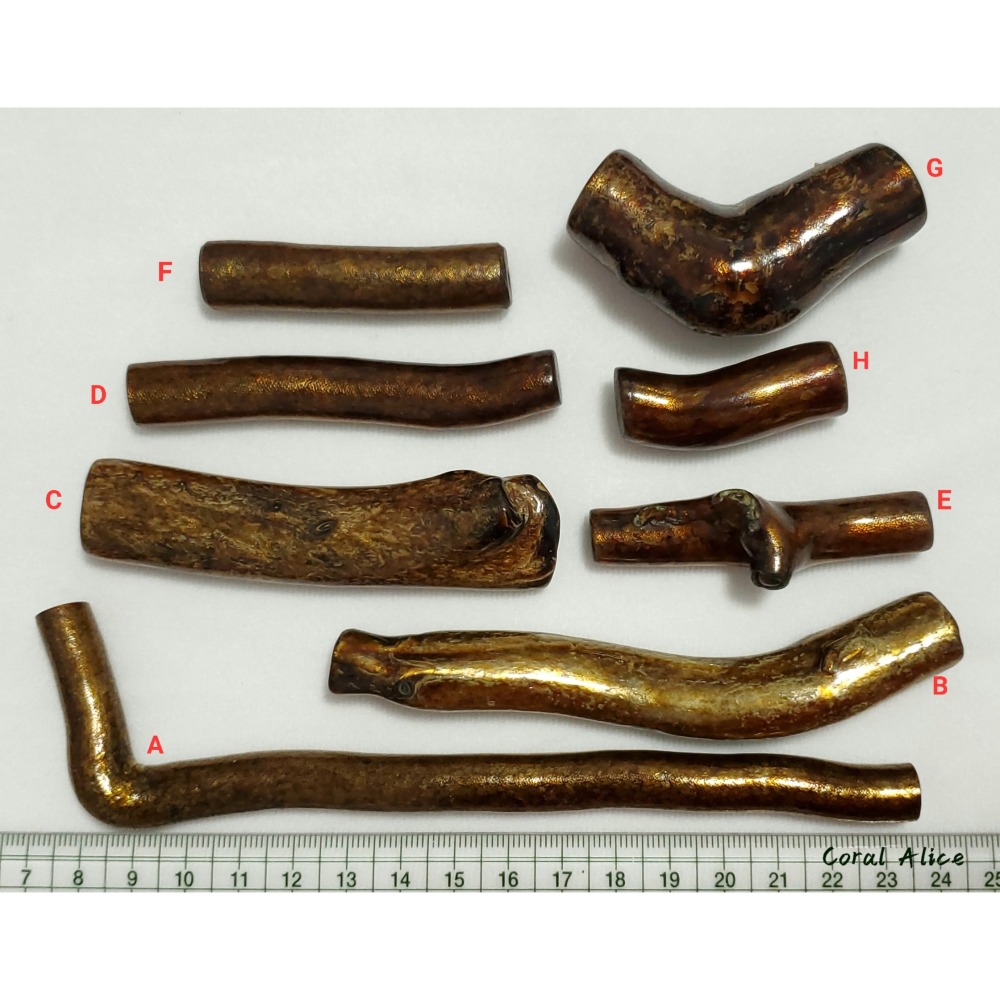 🌟Coral珊寶手作-海柳/海藤枝段 BC2P1-517-細節圖11