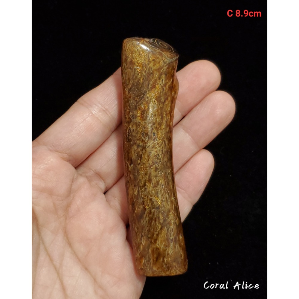 🌟Coral珊寶手作-海柳/海藤枝段 BC2P1-517-規格圖11
