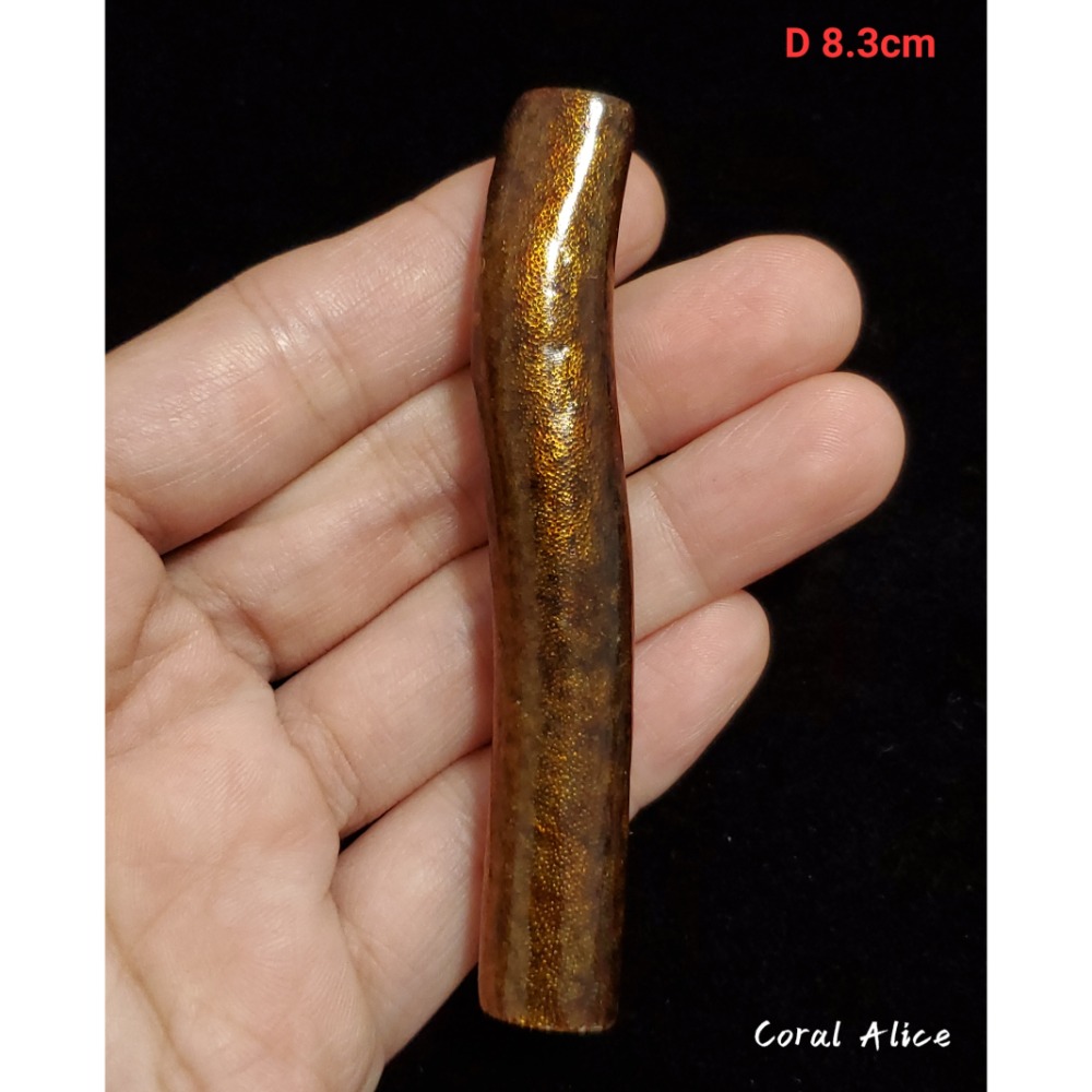 🌟Coral珊寶手作-海柳/海藤枝段 BC2P1-517-規格圖11