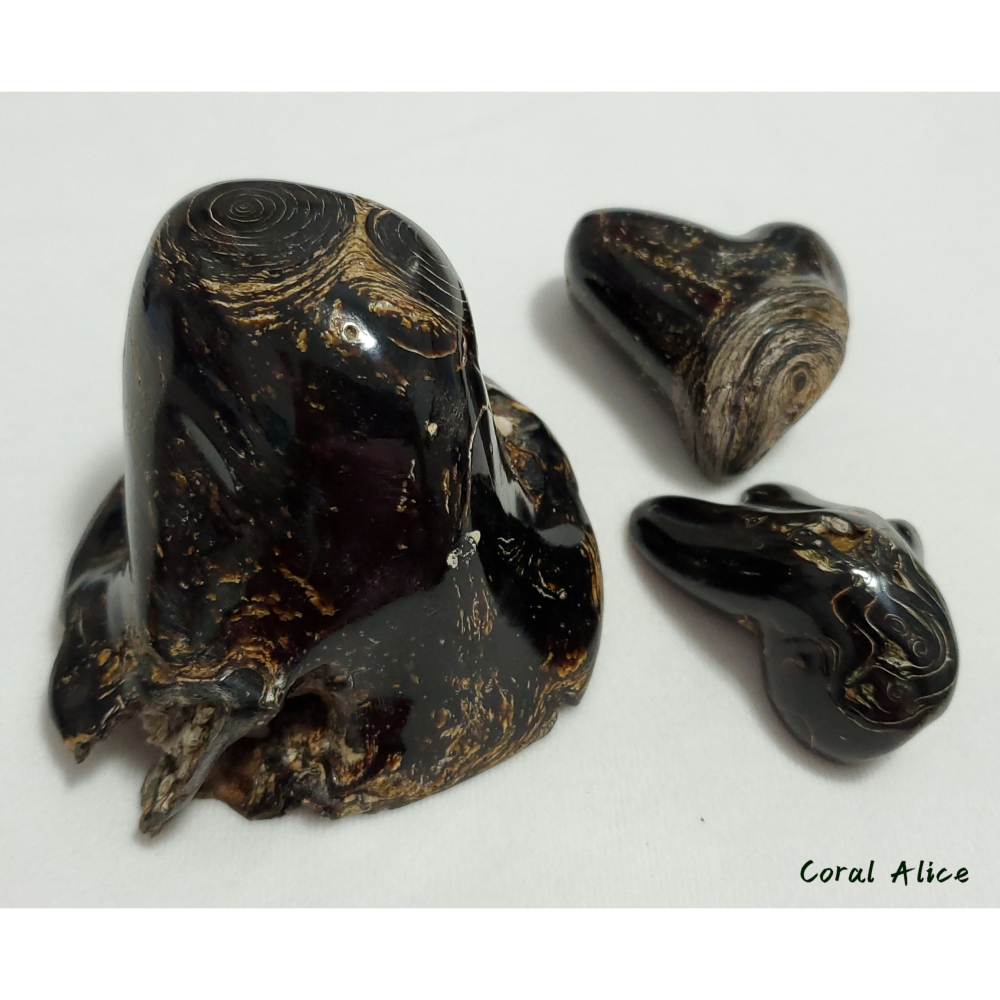 🌟Coral珊寶手作-天然黑珊瑚/黑海柳自然枝段 B/C BC2P1-520-細節圖6