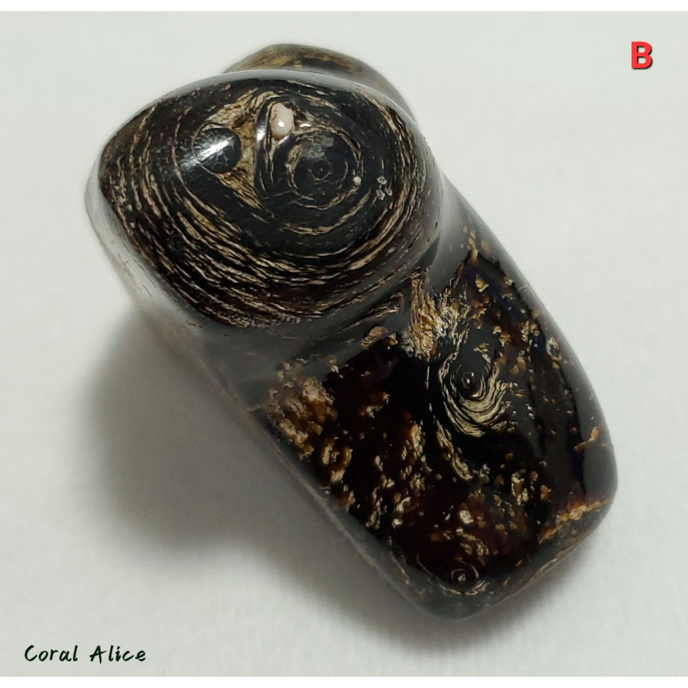 🌟Coral珊寶手作-天然黑珊瑚/黑海柳自然枝段 B/C BC2P1-520-細節圖8