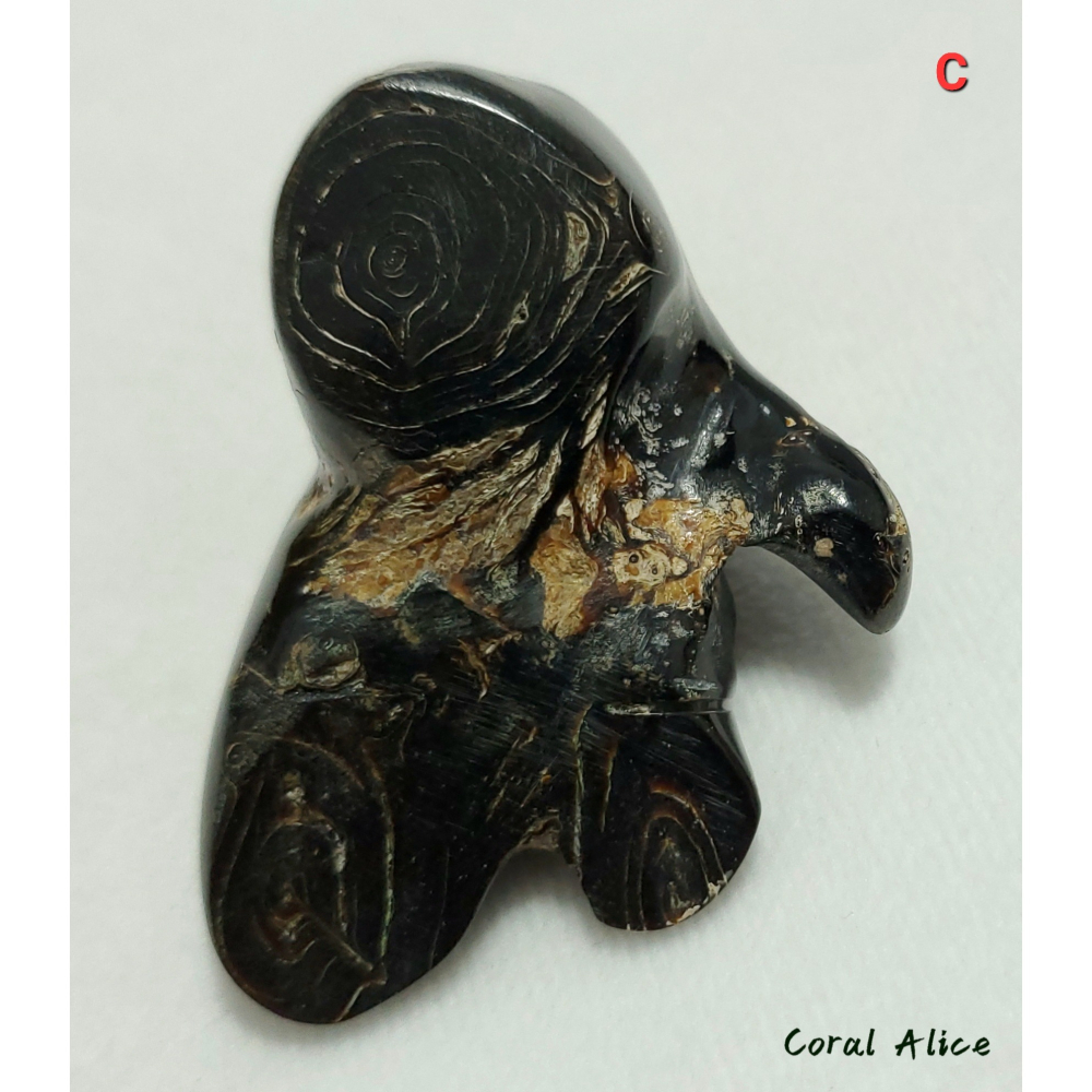 🌟Coral珊寶手作-天然黑珊瑚/黑海柳自然枝段 B/C BC2P1-520-細節圖9