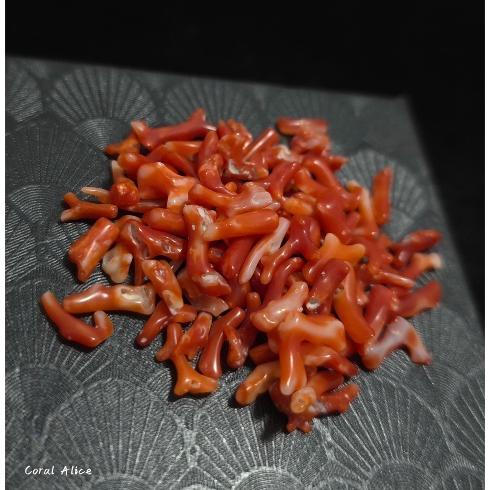 🌟Coral珊寶手作-天然阿卡珊瑚小枝 4-18mm #供佛 #入神 #裝藏 #曼紮 CO2W3-501-細節圖2