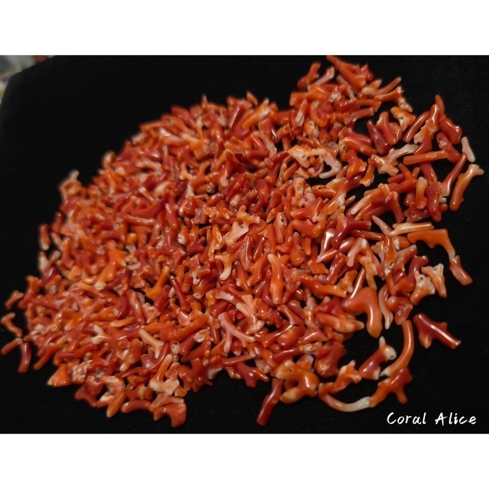 🌟Coral珊寶手作-天然阿卡珊瑚小枝 4-18mm #供佛 #入神 #裝藏 #曼紮 CO2W3-501-細節圖4