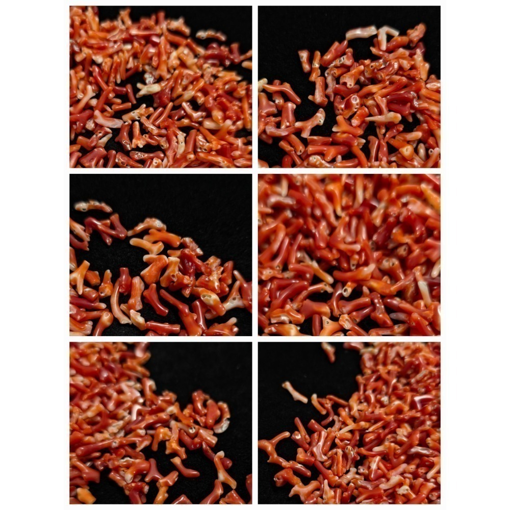 🌟Coral珊寶手作-天然阿卡珊瑚小枝 4-18mm #供佛 #入神 #裝藏 #曼紮 CO2W3-501-細節圖6