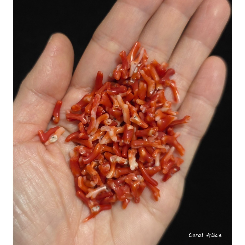 🌟Coral珊寶手作-天然阿卡珊瑚小枝 4-18mm #供佛 #入神 #裝藏 #曼紮 CO2W3-501-細節圖7