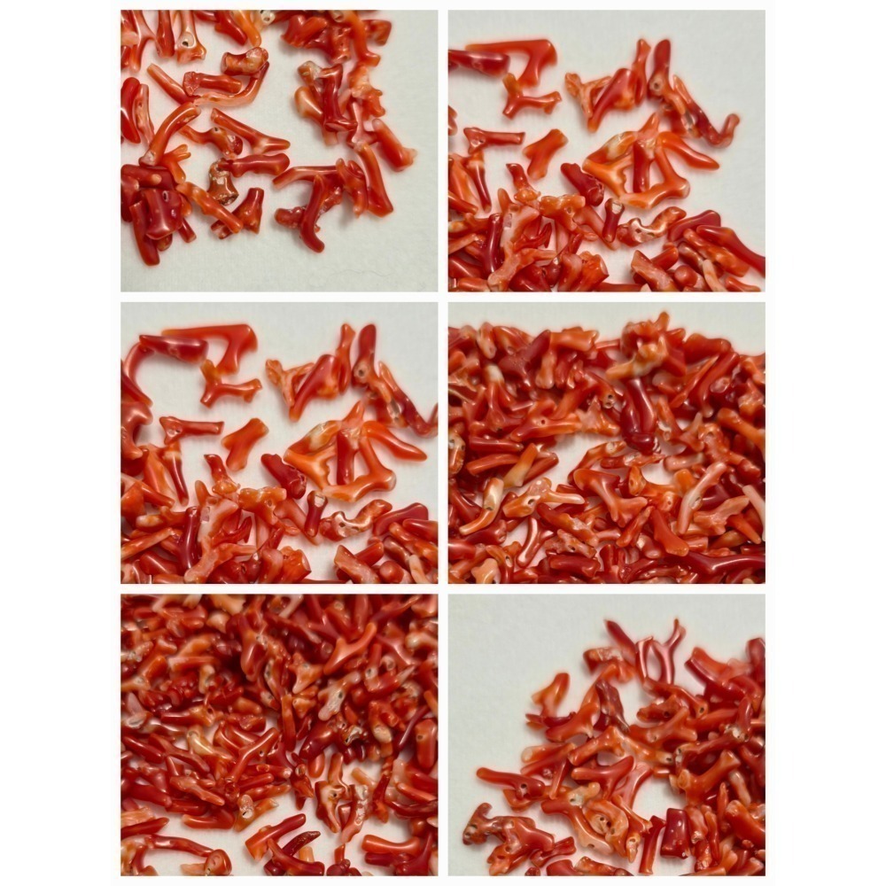 🌟Coral珊寶手作-天然阿卡珊瑚小枝 4-18mm #供佛 #入神 #裝藏 #曼紮 CO2W3-501-細節圖8