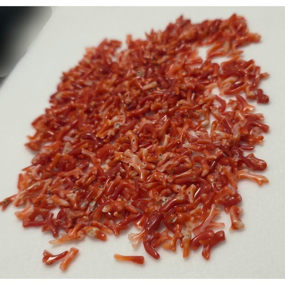 🌟Coral珊寶手作-天然阿卡珊瑚小枝 4-18mm #供佛 #入神 #裝藏 #曼紮 CO2W3-501-細節圖10