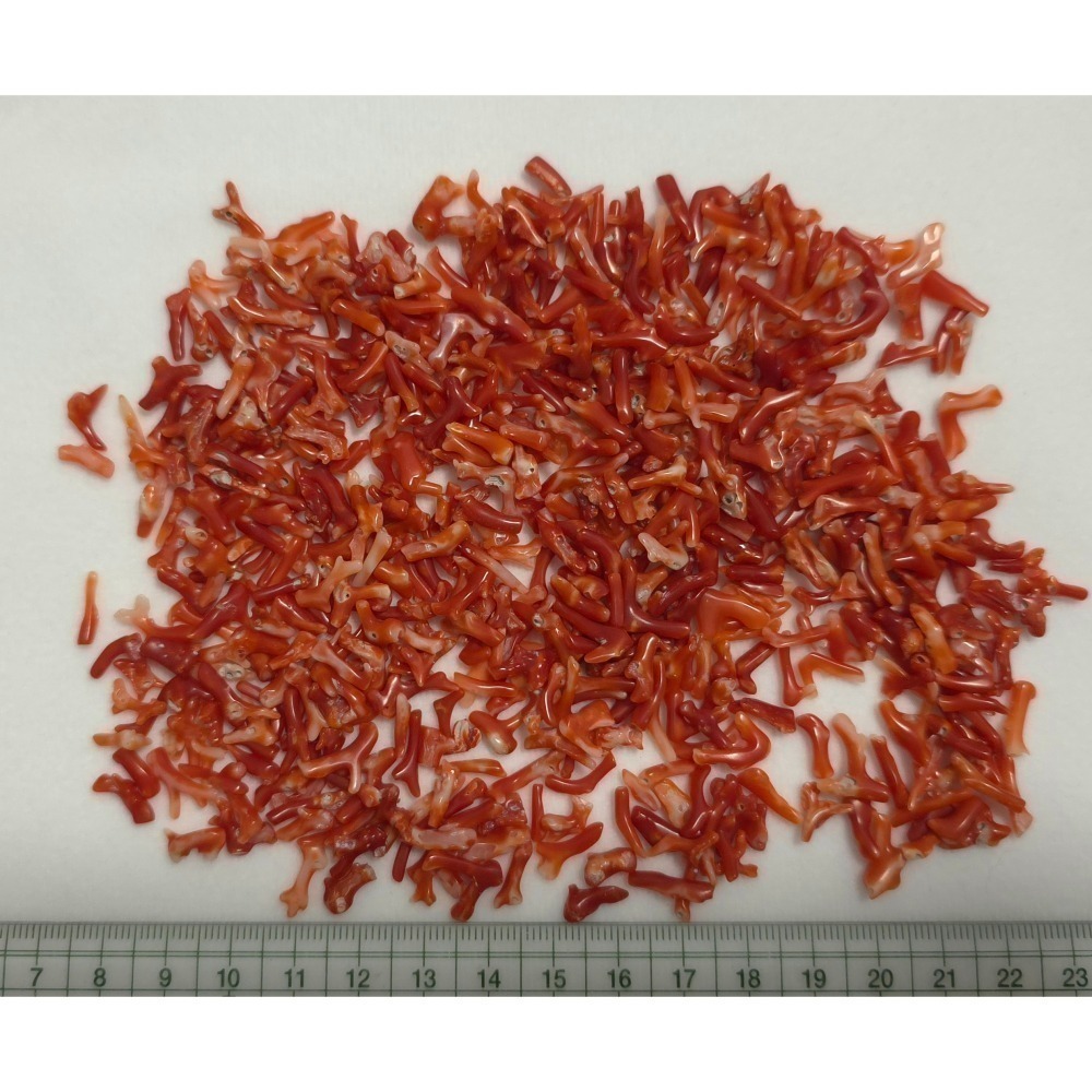 🌟Coral珊寶手作-天然阿卡珊瑚小枝 4-18mm #供佛 #入神 #裝藏 #曼紮 CO2W3-501-細節圖11