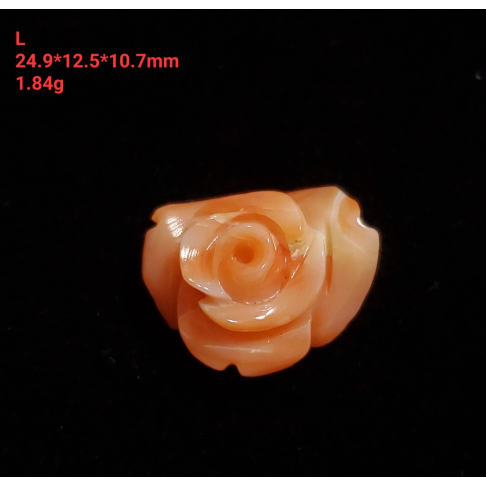 🌟Coral珊寶手作-天然深水珊瑚手工雕刻花件 11.0-16.6mm CO2P1-324-規格圖11