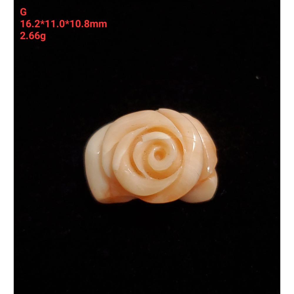 🌟Coral珊寶手作-天然深水珊瑚手工雕刻花件 11.0-16.6mm CO2P1-324-規格圖11
