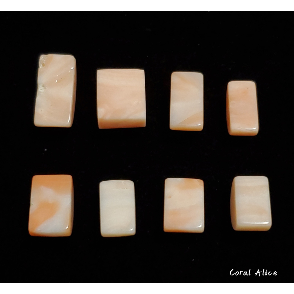 🌟Coral珊寶手作-天然淺水珊瑚造型裸石 CO2P1-360-細節圖5