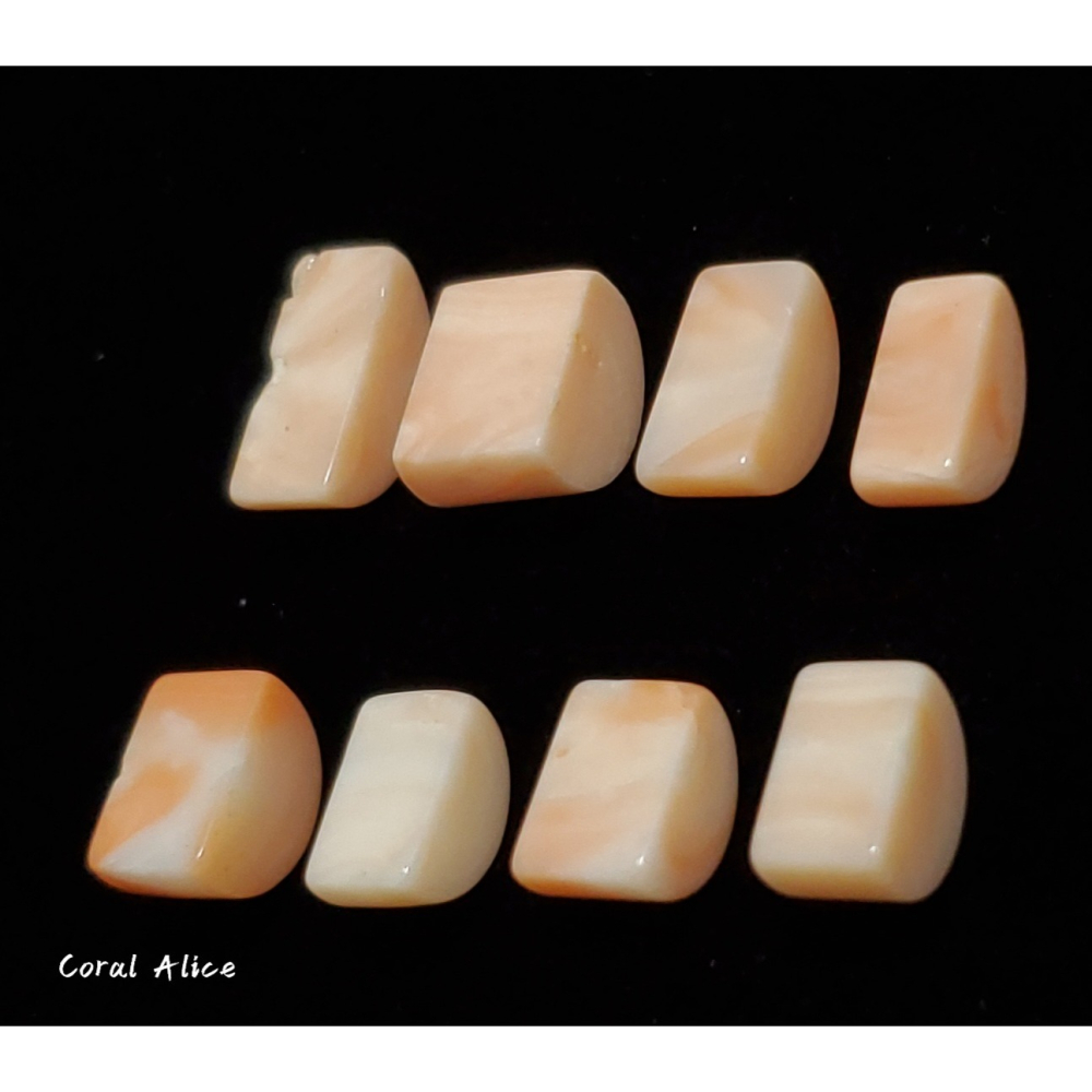 🌟Coral珊寶手作-天然淺水珊瑚造型裸石 CO2P1-360-細節圖7