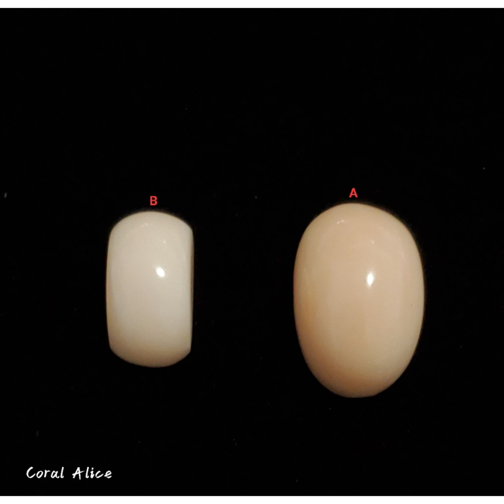 🌟Coral珊寶手作-天然淺水珊瑚造型裸石 CO2P1-362-細節圖2