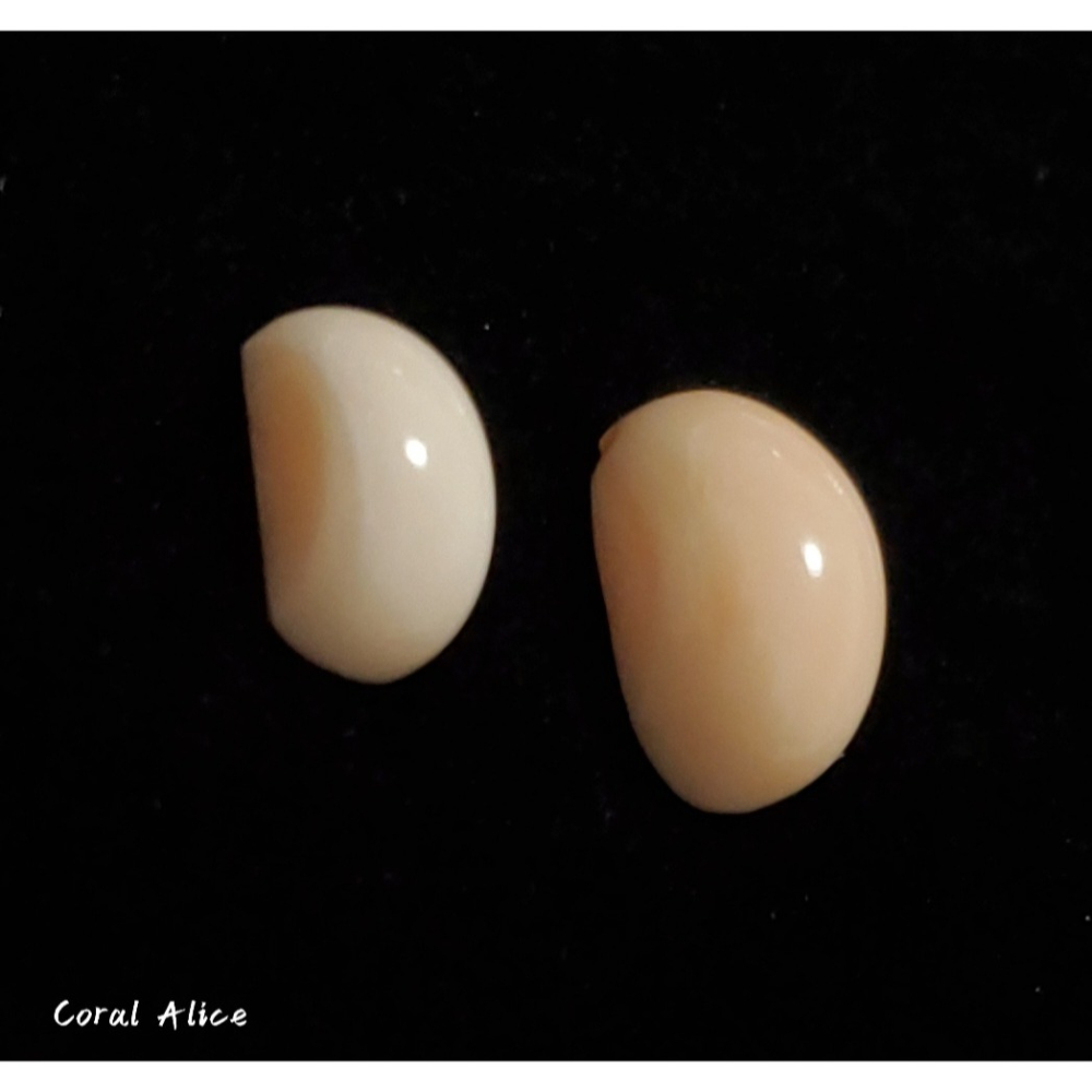 🌟Coral珊寶手作-天然淺水珊瑚造型裸石 CO2P1-362-細節圖3