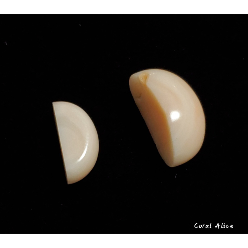 🌟Coral珊寶手作-天然淺水珊瑚造型裸石 CO2P1-362-細節圖4