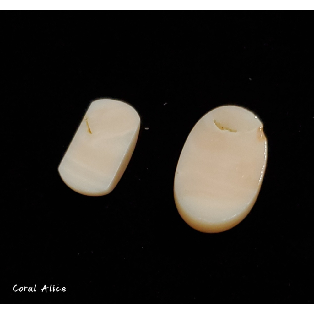 🌟Coral珊寶手作-天然淺水珊瑚造型裸石 CO2P1-362-細節圖5